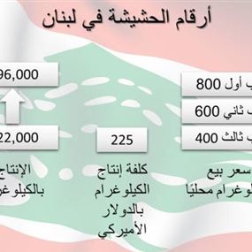 زراعة الحشيشة في لبنان بالأرقام
