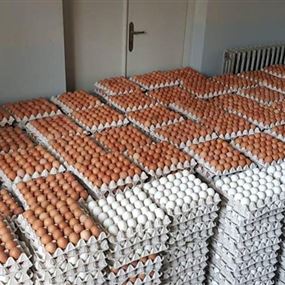 بالصور: الجمارك تضبط بيض مهرّب من سوريا الى لبنان