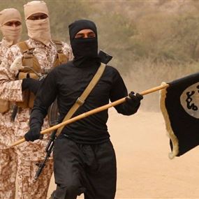 داعش يعلن قتله 30 جنديًا نيجيريًا بهجوم في ولاية بورنو