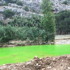 بالصور: مياه نهر الكلب باللون بالاخضر!