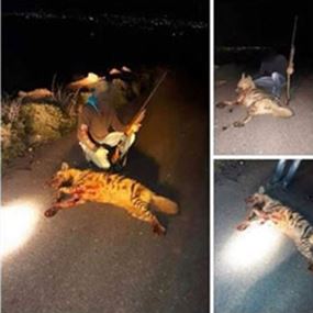 قتل حيواناً مهددا بالإنقراض ونشر صوره على مواقع التواصل الاجتماعي