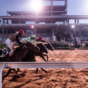 داخل ميدان سباق الخيل.. وقوى الأمن تحذّر من مخاطر القمار والمراهنات