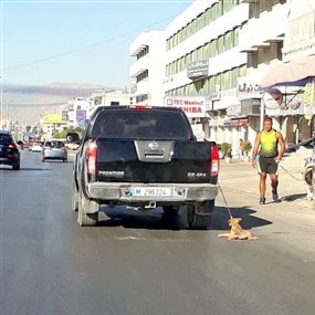 للمرة الثانية في أسبوع... ربط كلباً بشاحنة وسحله!