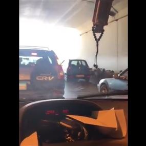 في لبنان.. قطيع من المواشي داخل النفق إلى جانب السيارات!