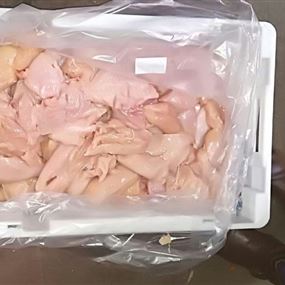بالصورة.. شركة لبنانية تحاول بيع لحوم دجاج فاسد