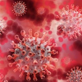 وزارة الصحة: 507 إصابات بفيروس كورونا