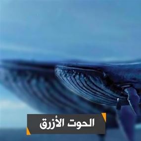 لعبة الحوت الأزرق وتفسيرها النفسي