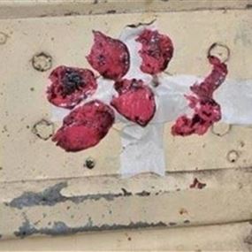 طن و250 كلغ مواد فاسدة... وختم مستودع في العاقبية