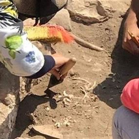 مديرية الآثار تحسم الجدل حول عظام الطفل في قلعة بعلبك