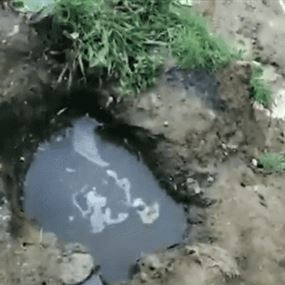 بالفيديو: حمامات النازحين تصب صرفها الصحي في النهر