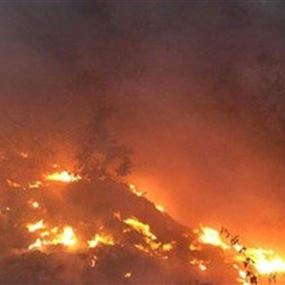 حريق الأحراج في دميت لا يزال مستمرا والاهالي يناشدون