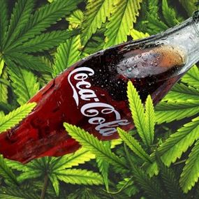 كوكاكولا تفكر في إضافة الماريجوانا في مشروباتها