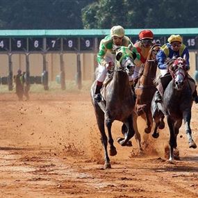 قرار لشبيب بوقف المراهنات في سباق خيل مدينة بيروت فوراً