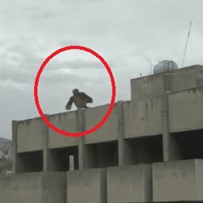غوريلا على سطح احد المباني في بيروت (فيديو)