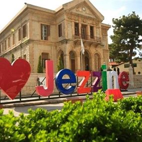 بري يطالب بمقعد مسيحي في جزين