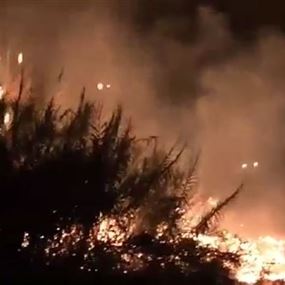بالفيديو: حريق يلتهم أحراش المنصورية