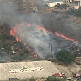 بالصور.. حريق هائل قرب كازينو لبنان طال عددا من السيارات