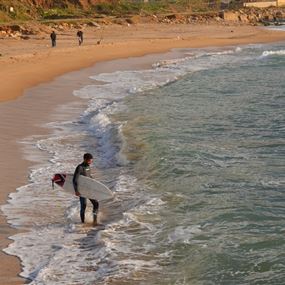 بالصور.. جريمة من نوع آخر عند شاطئ الرميلة