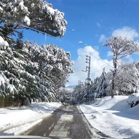 لبنان يستضيف أوسكار حتى يوم السبت