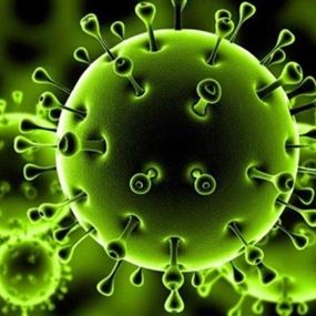 التقرير اليومي لوزارة الصحة: 24 إصابة جديدة بفيروس كورونا