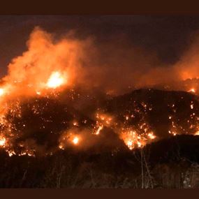 دخلنا في أخطر أيام الحرائق.. تحذير من الحركة البيئية!