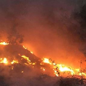 بالصورة: النيران تلتهم احراج وادي جهنم