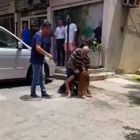 بالفيديو: رجل يضرب متحوّلة جنسياً في جونية